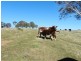 Lot 13 Fullerton Road, Fullerton NSW 2583