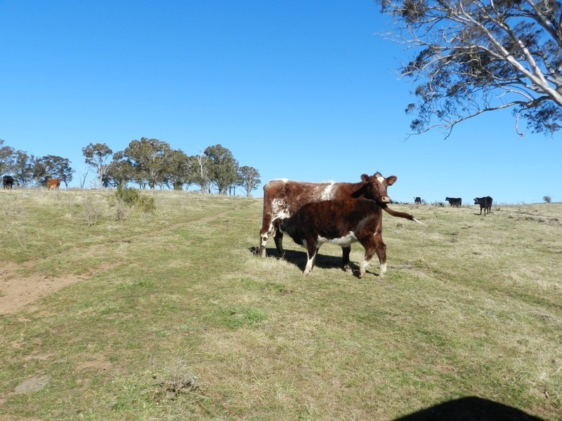 Lot 13 Fullerton Road, Fullerton NSW 2583