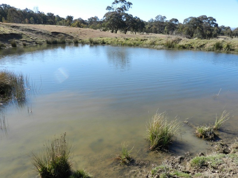 Lot 13 Fullerton Road, Fullerton NSW 2583