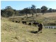 Lot 13 Fullerton Road, Fullerton NSW 2583