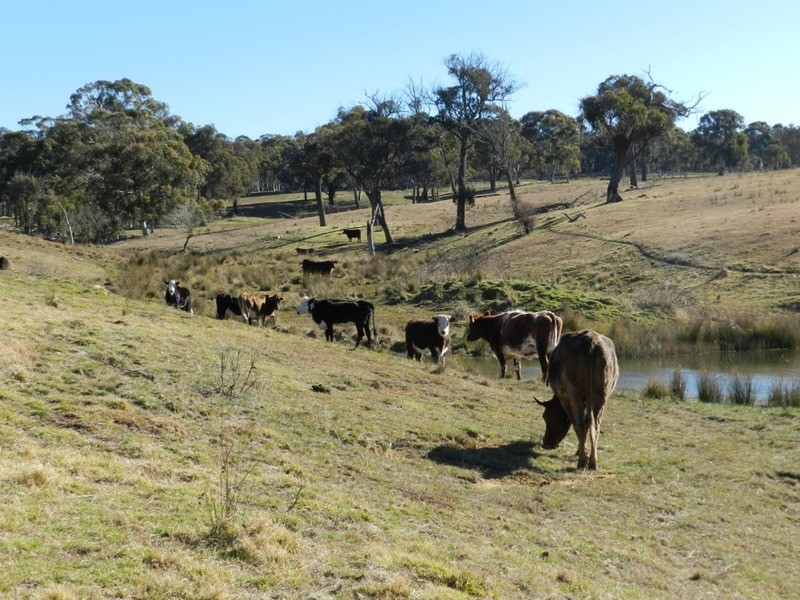 Lot 13 Fullerton Road, Fullerton NSW 2583