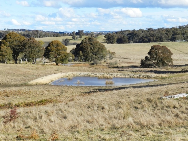 “Kenross” 2203 Wombeyan Caves Road, Taralga NSW 2580