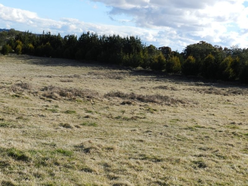 “Kenross” 2203 Wombeyan Caves Road, Taralga NSW 2580