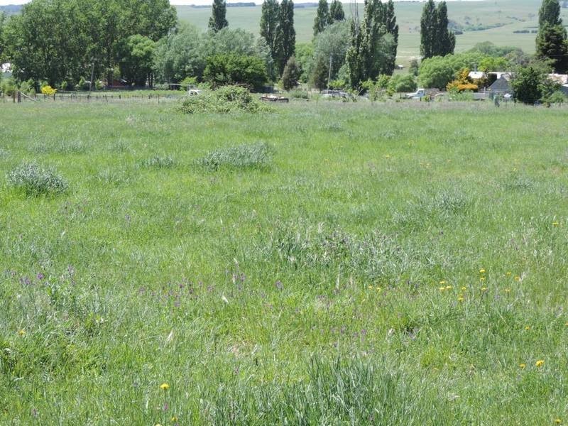 Lot 3 Martyn Street, Taralga NSW 2580