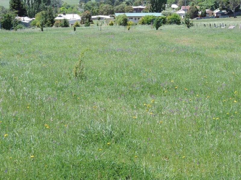 Lot 3 Martyn Street, Taralga NSW 2580