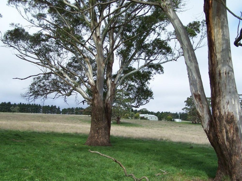 112 Cobodong  Road, Taralga NSW 2580