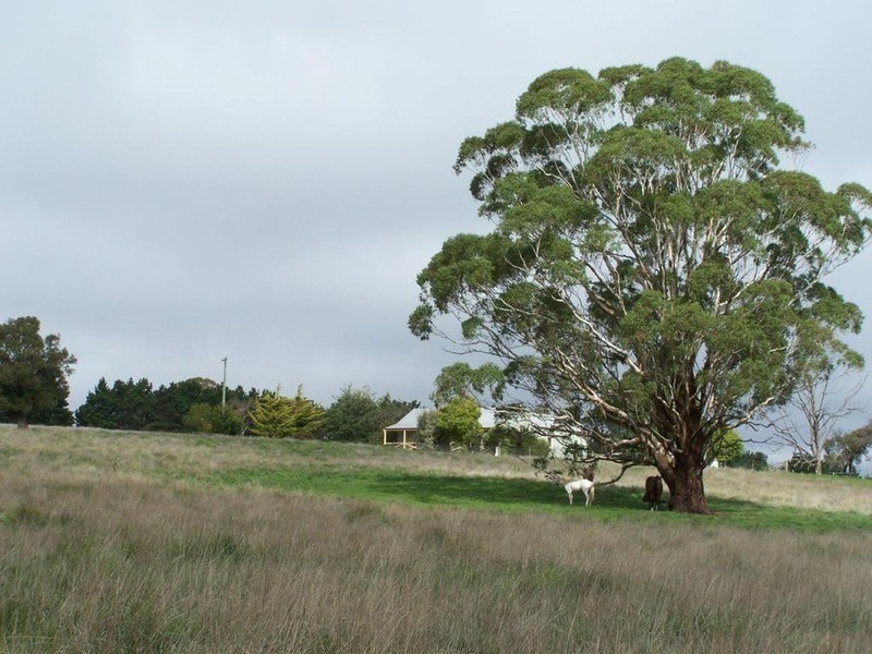 112 Cobodong  Road, Taralga NSW 2580