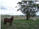 112 Cobodong  Road, Taralga NSW 2580