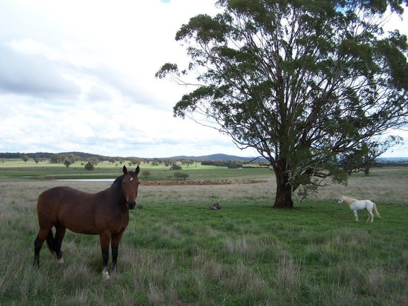 112 Cobodong  Road, Taralga NSW 2580
