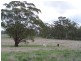 112 Cobodong  Road, Taralga NSW 2580