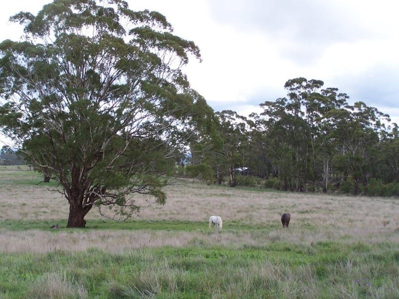 112 Cobodong  Road, Taralga NSW 2580