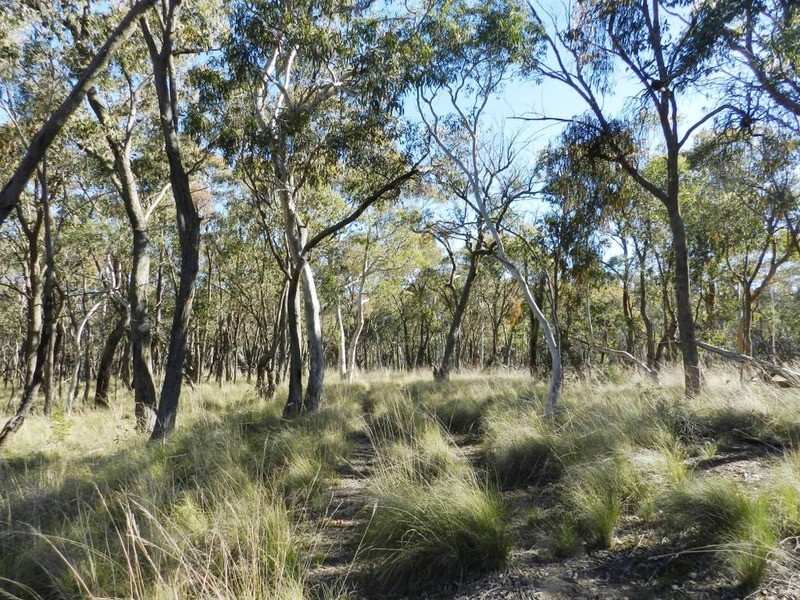 6501 Oberon  Road, Taralga NSW 2580