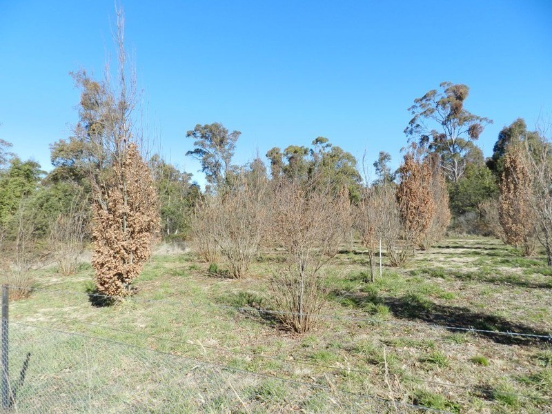 6501 Oberon  Road, Taralga NSW 2580