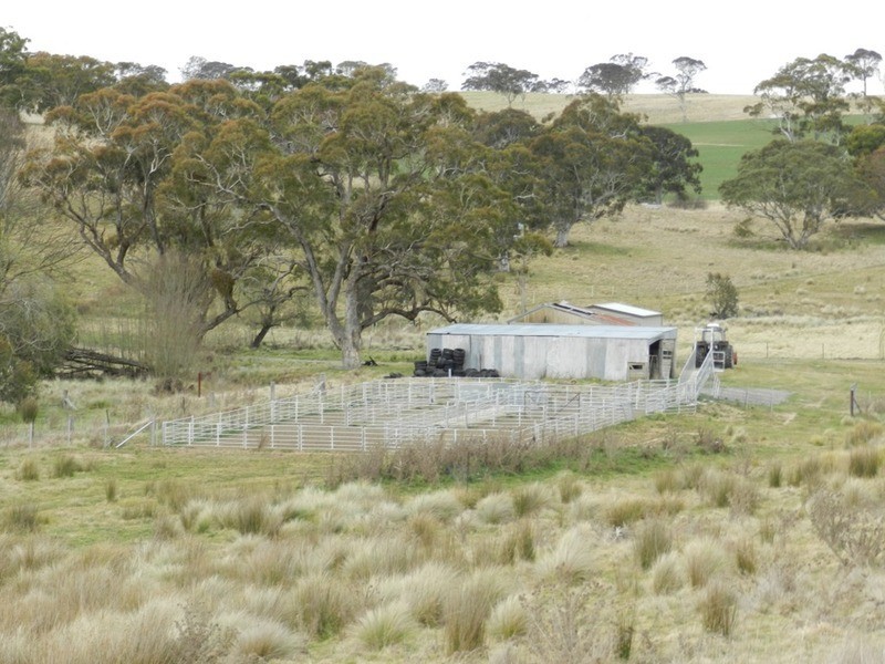 “Willowvale” Mullins Creek  Road, Breadalbane NSW 2581
