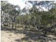 207 Tarlo River Road, Greenwich Park NSW 2580