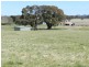 “Twin Wells” 525 Gorham  Road, Crookwell NSW 2583