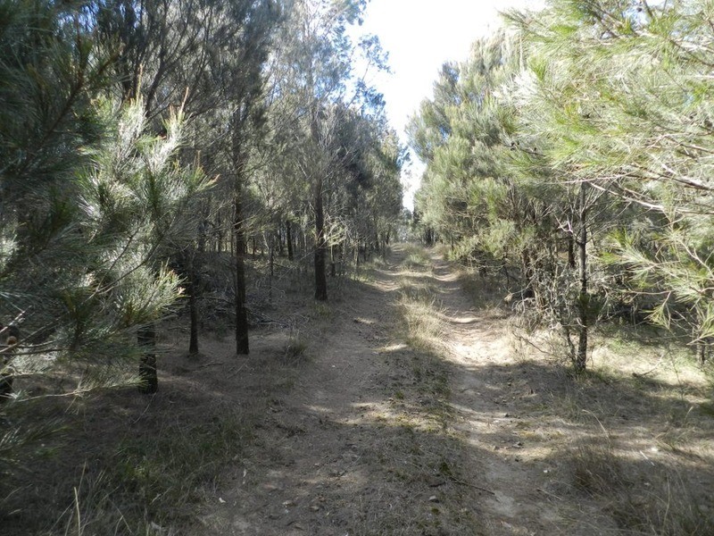 1603 Towrang Road, Greenwich Park NSW 2580