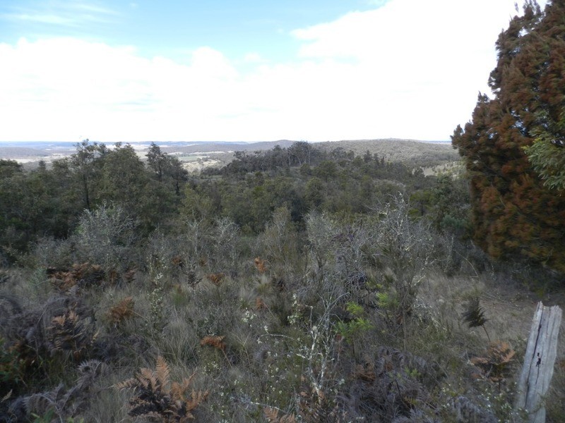 1603 Towrang Road, Greenwich Park NSW 2580