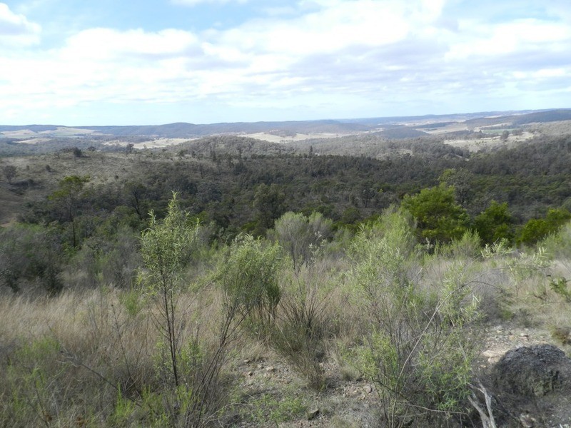 1603 Towrang Road, Greenwich Park NSW 2580