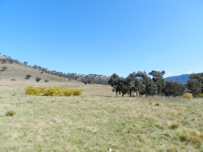 Lot 1 Greenmantle  Road, Bigga NSW 2583