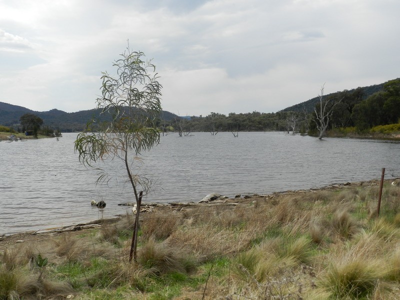 Lot 1 Greenmantle  Road, Bigga NSW 2583