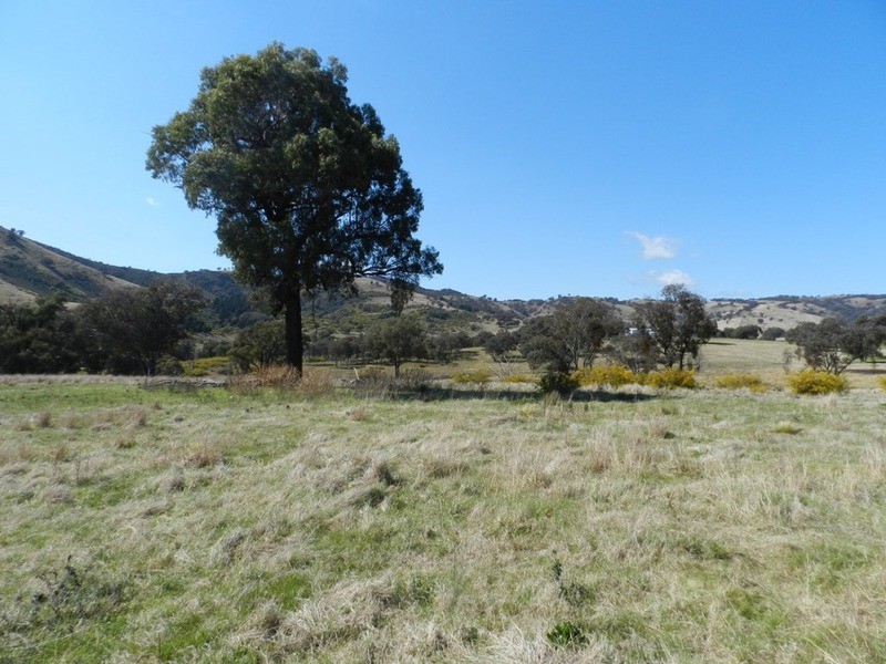 Lot 1 Greenmantle  Road, Bigga NSW 2583