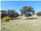 Lot 1 Greenmantle  Road, Bigga NSW 2583