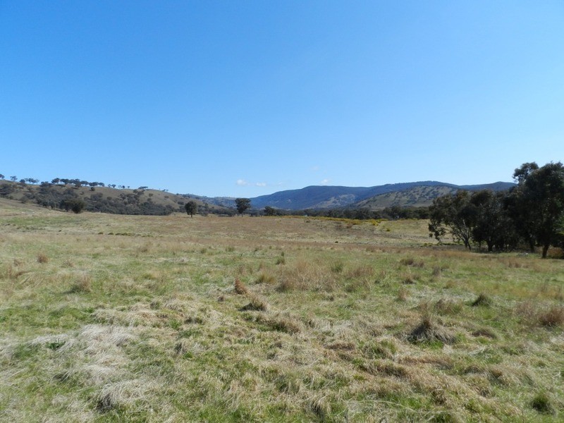 Lot 1 Greenmantle  Road, Bigga NSW 2583