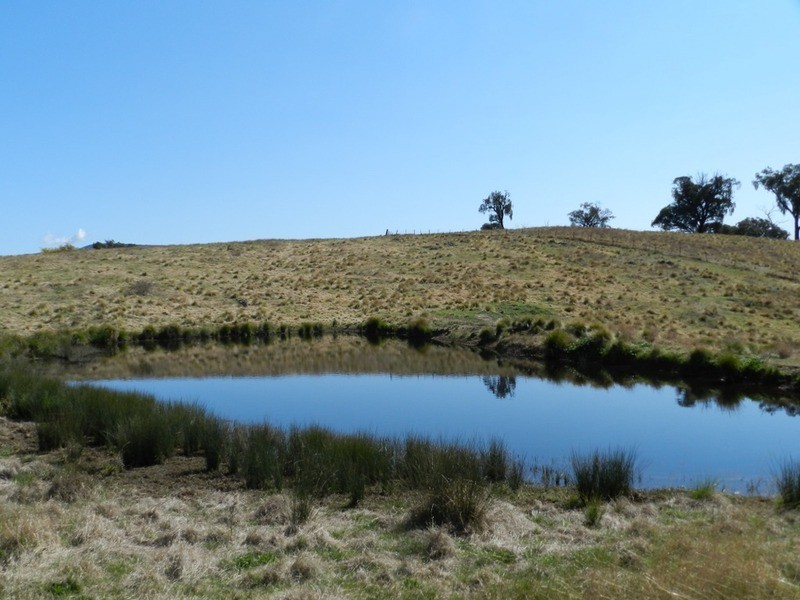 Lot 1 Greenmantle  Road, Bigga NSW 2583