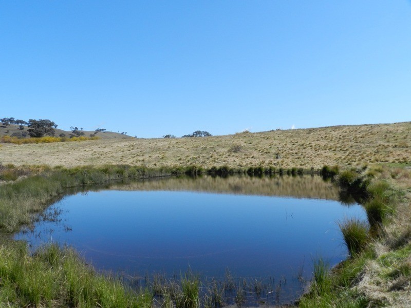 Lot 1 Greenmantle  Road, Bigga NSW 2583