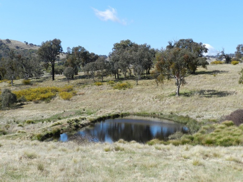 Lot 1 Greenmantle  Road, Bigga NSW 2583