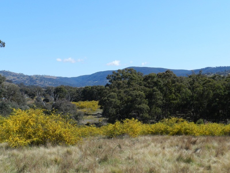 Lot 1 Greenmantle  Road, Bigga NSW 2583