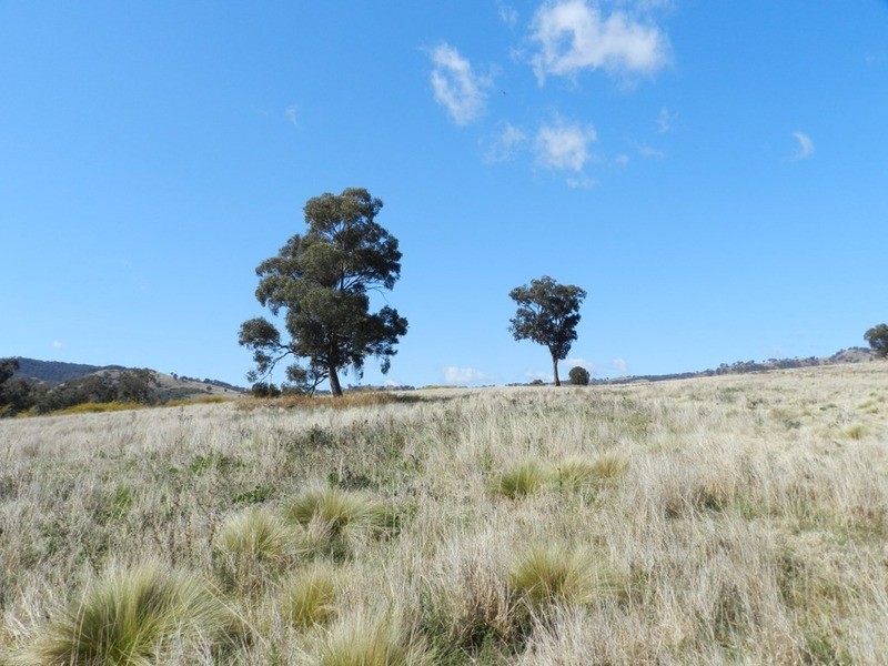 Lot 1 Greenmantle  Road, Bigga NSW 2583