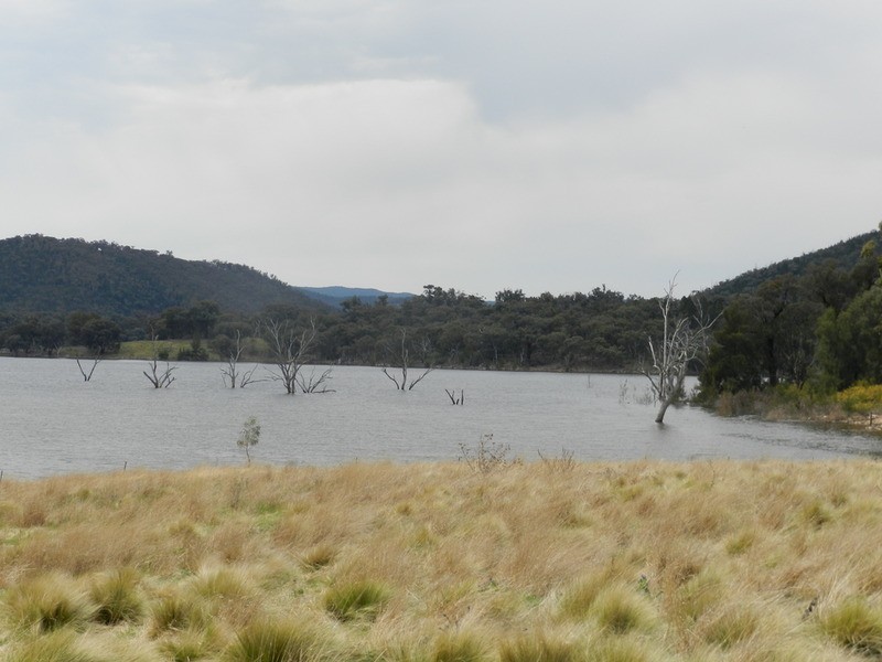Lot 1 Greenmantle  Road, Bigga NSW 2583