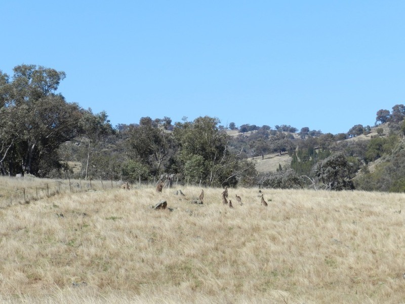 Lot 2 Greenmantle Road, Bigga NSW 2583