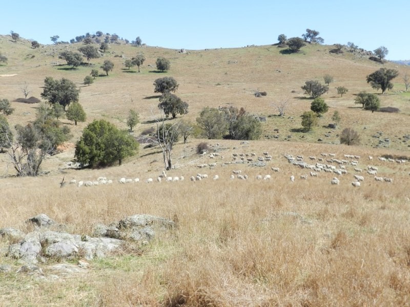 Lot 2 Greenmantle Road, Bigga NSW 2583