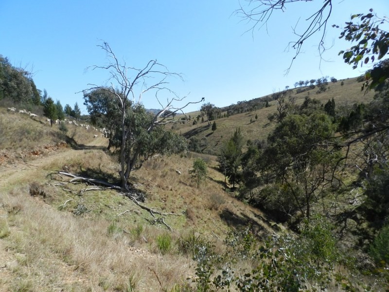 Lot 2 Greenmantle Road, Bigga NSW 2583