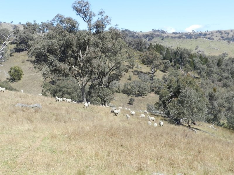 Lot 2 Greenmantle Road, Bigga NSW 2583