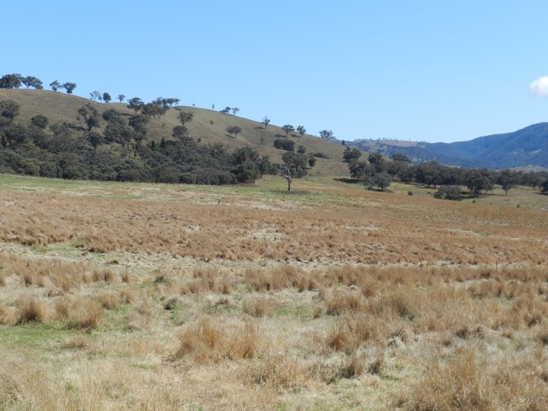 Lot 2 Greenmantle Road, Bigga NSW 2583