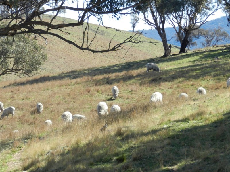 Lot 2 Greenmantle Road, Bigga NSW 2583