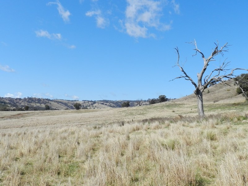 Lot 2 Greenmantle Road, Bigga NSW 2583