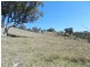 Lot 3 Greenmantle Road, Bigga NSW 2583