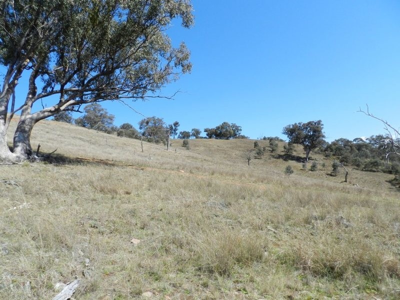 Lot 3 Greenmantle Road, Bigga NSW 2583