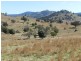 Lot 3 Greenmantle Road, Bigga NSW 2583