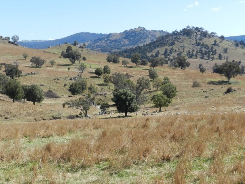 Lot 3 Greenmantle Road, Bigga NSW 2583