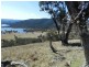 Lot 3 Greenmantle Road, Bigga NSW 2583