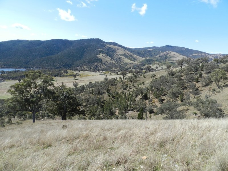 Lot 3 Greenmantle Road, Bigga NSW 2583