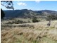 Lot 3 Greenmantle Road, Bigga NSW 2583