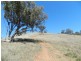 Lot 3 Greenmantle Road, Bigga NSW 2583