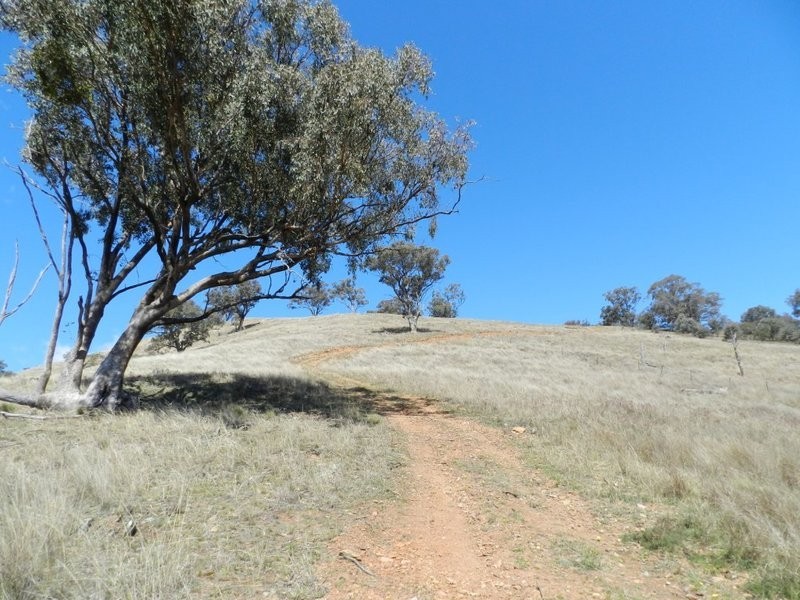 Lot 3 Greenmantle Road, Bigga NSW 2583